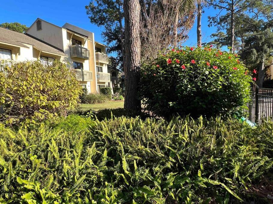 Spacious, Cozy Villa W/Parking In Coligny Villas Hilton Head Island Zewnętrze zdjęcie
